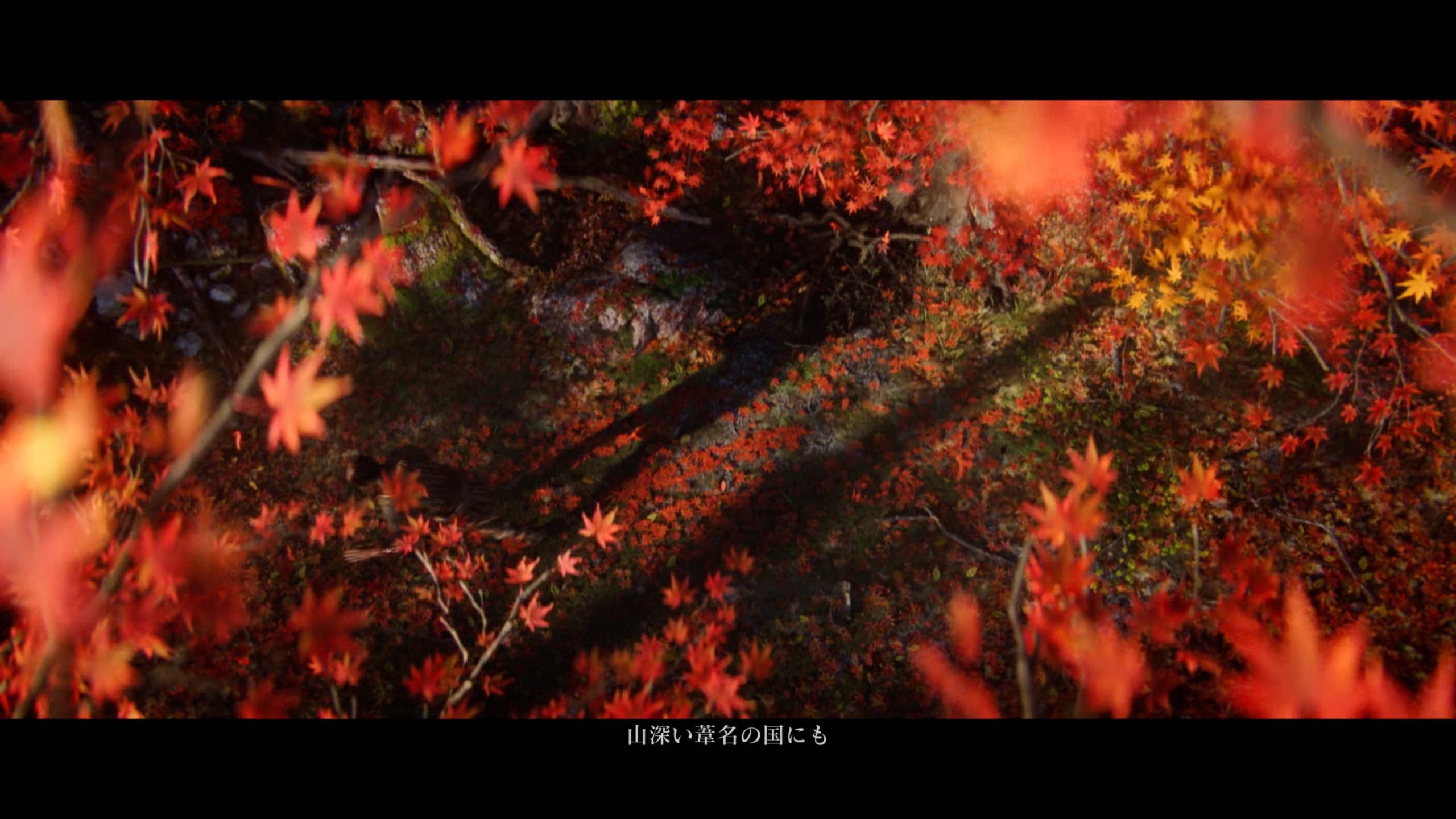 Thumbnail of post image 067